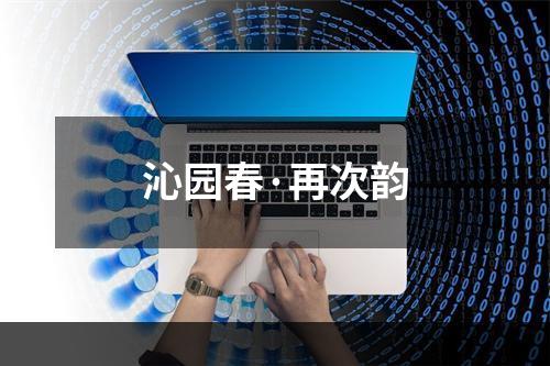 沁园春·再次韵