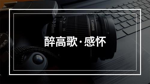 醉高歌·感怀