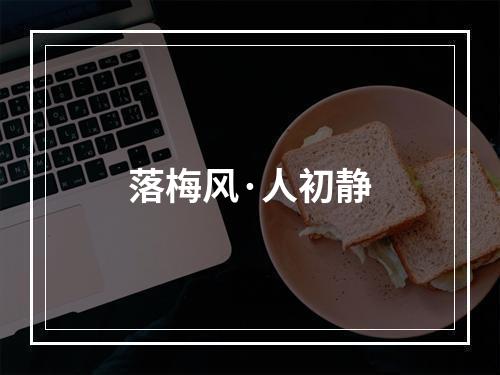 落梅风·人初静
