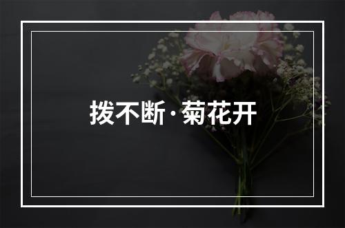 拨不断·菊花开
