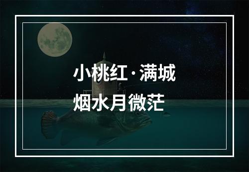 小桃红·满城烟水月微茫