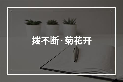 拨不断·菊花开
