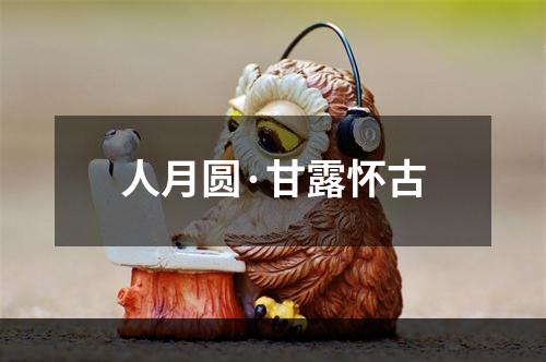 人月圆·甘露怀古