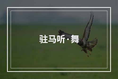 驻马听·舞