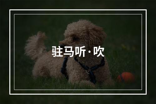 驻马听·吹