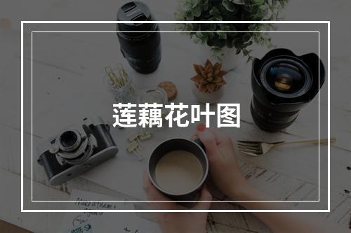 莲藕花叶图