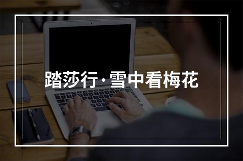踏莎行·雪中看梅花