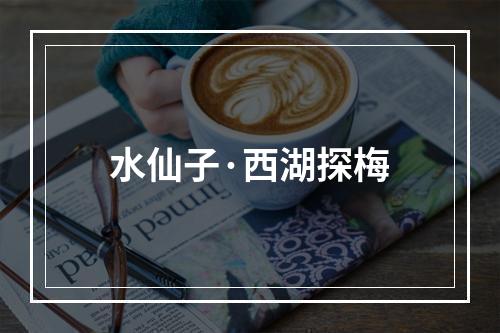 水仙子·西湖探梅