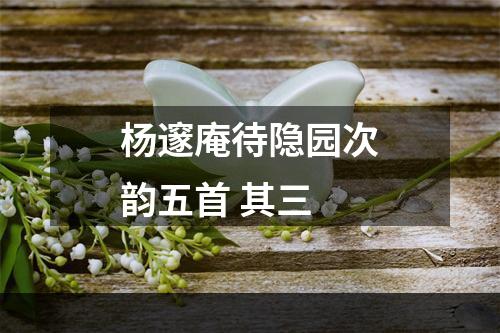 杨邃庵待隐园次韵五首 其三
