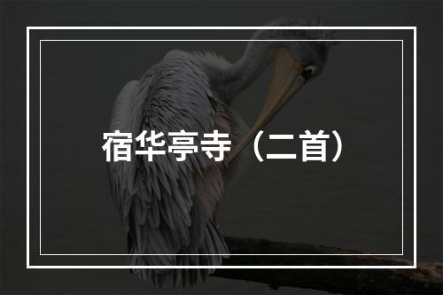 宿华亭寺（二首）
