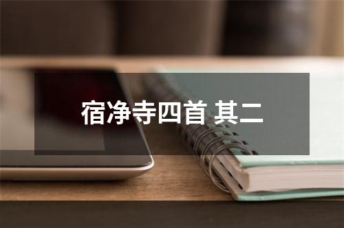 宿净寺四首 其二