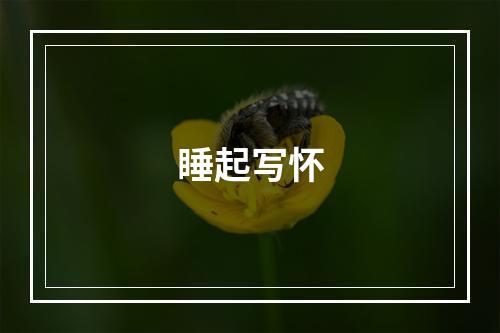 睡起写怀
