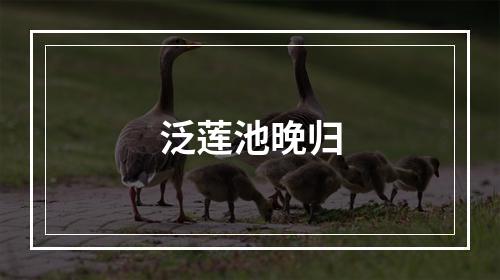 泛莲池晚归