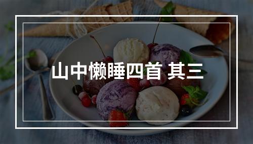 山中懒睡四首 其三