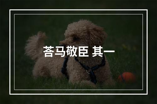 荅马敬臣 其一