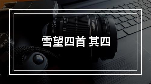 雪望四首 其四