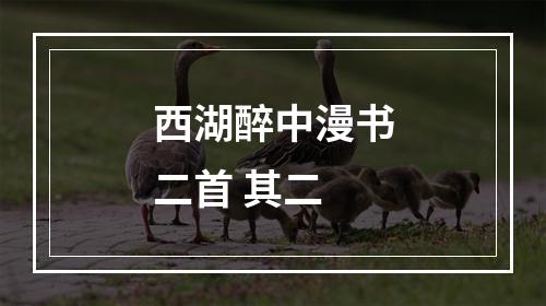 西湖醉中漫书二首 其二