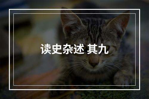 读史杂述 其九