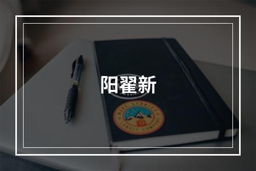 阳翟新