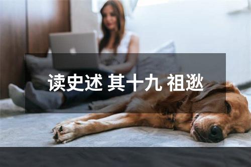 读史述 其十九 祖逖