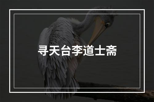 寻天台李道士斋