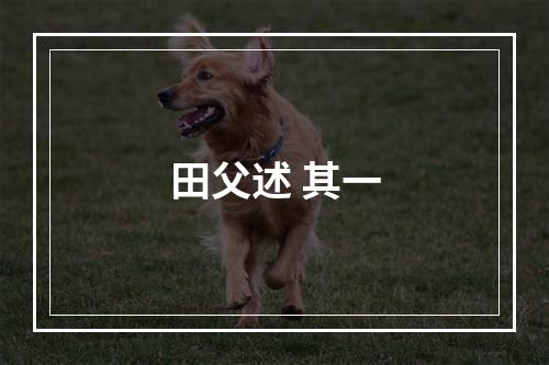 田父述 其一