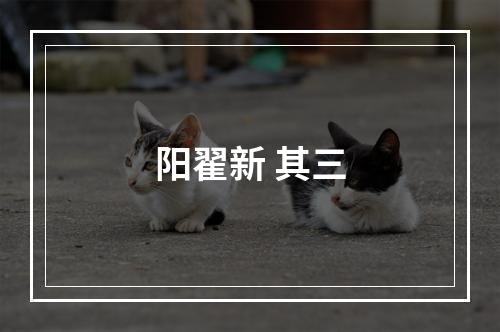 阳翟新 其三