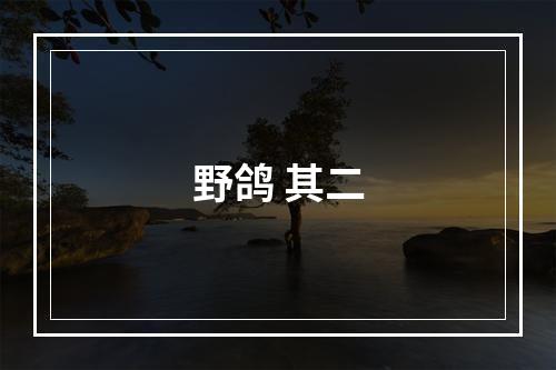 野鸽 其二