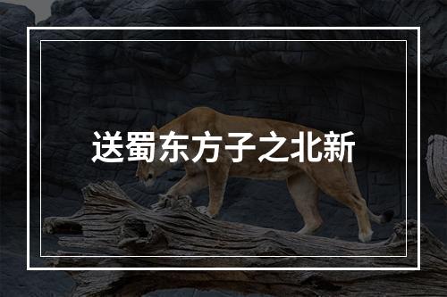 送蜀东方子之北新