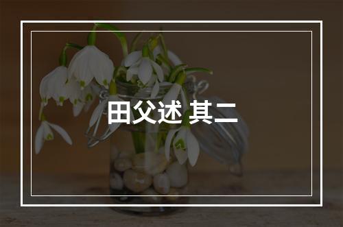 田父述 其二