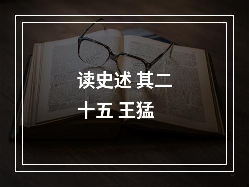 读史述 其二十五 王猛
