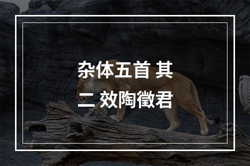 杂体五首 其二 效陶徵君