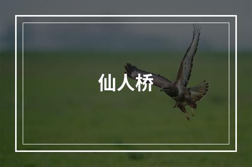 仙人桥