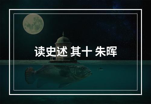 读史述 其十 朱晖