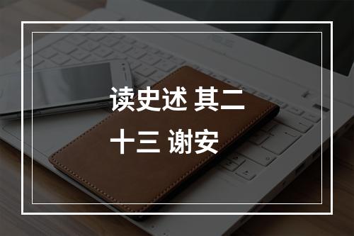 读史述 其二十三 谢安