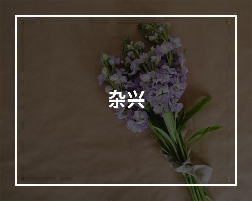 杂兴