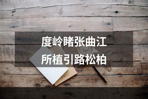 度岭睹张曲江所植引路松柏