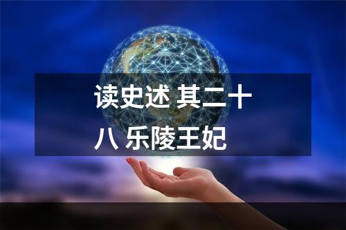 读史述 其二十八 乐陵王妃