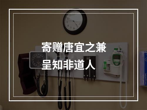 寄赠唐宜之兼呈知非道人