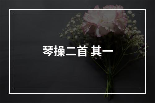 琴操二首 其一