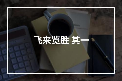 飞来览胜 其一