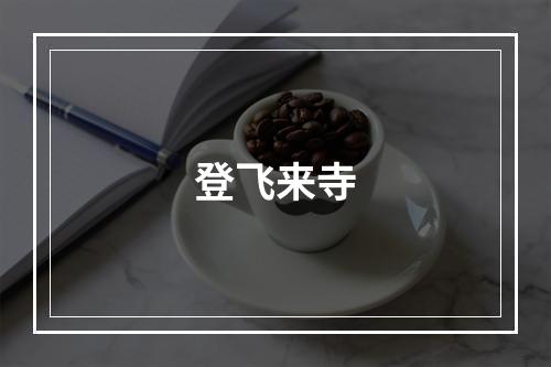 登飞来寺