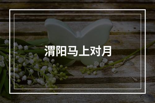 渭阳马上对月