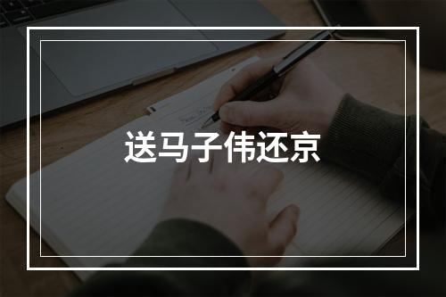送马子伟还京