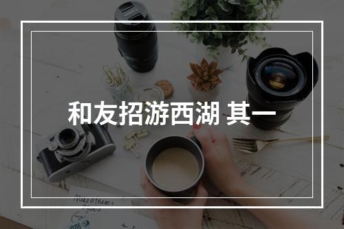 和友招游西湖 其一