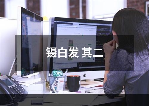 镊白发 其二