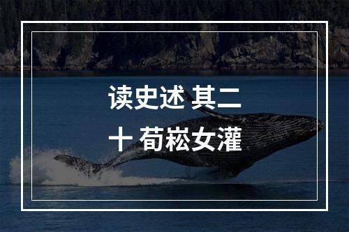 读史述 其二十 荀崧女灌