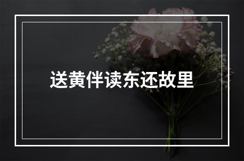 送黄伴读东还故里