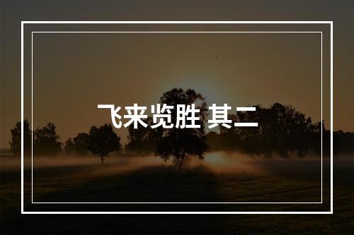 飞来览胜 其二
