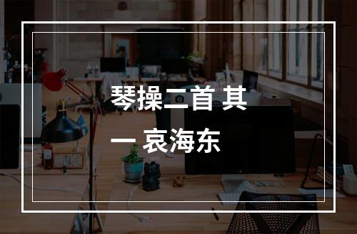 琴操二首 其一 哀海东